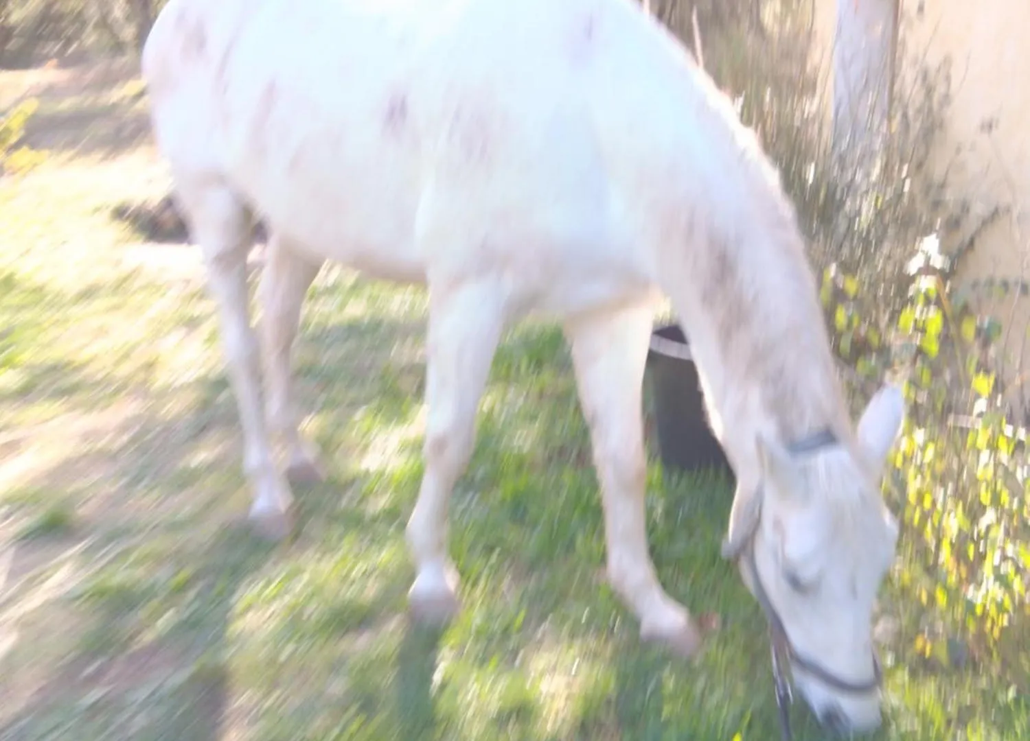 La Margottiere Chez Isa Et Titi Hotel Rians  Casa de hóspedes Rians (Var)